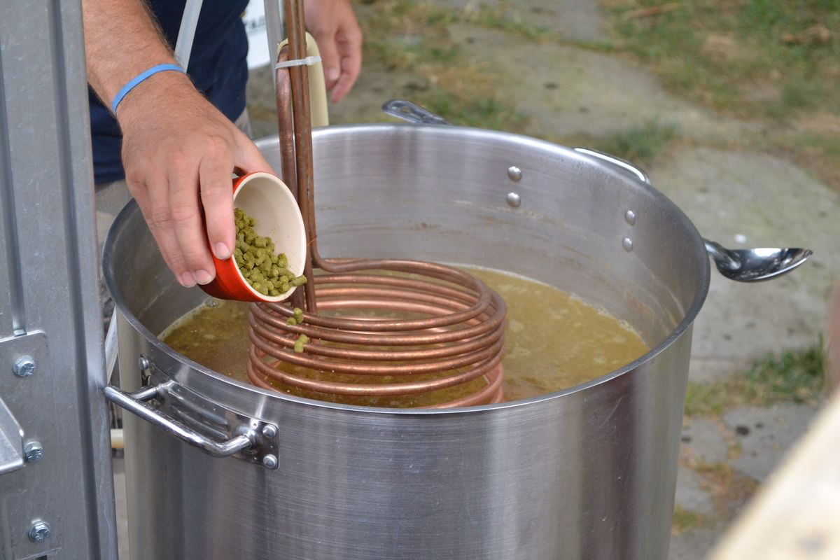 2. Komlózás – keserűség és illat